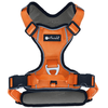 Harnais Petlando Outdoor, orange taille M : 56-68cm tour de poitrine c...