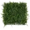 Karat - Décoration murale en plantes artificielles Fern 50 x 50 cm
