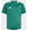 adidas Maillot d'entraînement Aston Villa Junior - Green, Green 11-12Y