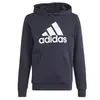 Adidas Sweat à Capuche Bl