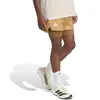 Short 2 en 1 adidas Terrex Xploric KA2716 Beige M