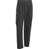 Adidas Pantalon Terrex Xploric Clima365 Cargo