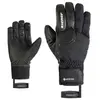Ziener - Ginos-Z Gtx Pr - Gants ski homme Black - 9.5