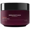 LALIQUE SUPP Sebastian Professional Penetraitt Rescue Repair Mask Masque cheveux 1000 ml
