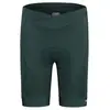 Maloja - MinorM. Short - Cuissard vélo femme Mountain Pine - XL
