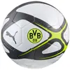 Ballon de football CULTURE Borussia Dortmund 5
