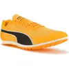 Chaussures Puma  Evospeed Star 9 P31283814