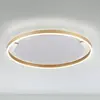 Spring Plafonnier LED, laiton mat, intensité lumineuse variable, D 58,5 cm