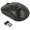 DeLOCK 12494 souris RF sans fil Optique 1000 DPI - Souris (Ambidextre, Optique, RF sans fil, 1000 DPI, Noir)