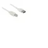 DeLOCK 2m, USB2.0-A/USB2.0-B câble USB USB A USB B Blanc