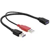 Delock Y-Cable USB 2.0 A to 2 x USB 2.0 A (0.3m)