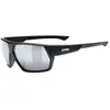 Uvex Sportstyle 238 Lunettes de ski pour homme Black Mat Taille unique