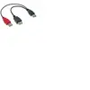 InLine USB 2.0 Y cable - Câble USB - USB (M) pour USB, USB (alimentation uniquement) - 20 cm