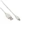 InLine - Câble USB - Micro-USB de type B (M) pour USB (M) - USB 2.0 - 5 m - blanc