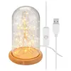 goobay 60340 Cloche en verre avec micro-chaîne lumineuse LED/lampe déc...