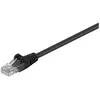 Câble réseau RJ45 U/UTP C5E 0,25m noir - Wentronic CAT 5-025 UTP