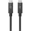 Wentronic goobay Câble USB 3.2 Type C MM compatible charge rapide 100 W 1 m Noir