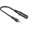 Goobay CABLE ADAPTATEUR JACK 6.35mm² ST FEMELLE vers JACK 3.5mm² MALE STEREO 0.20m