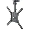 Goobay Ceiling Mount M pour TV de 23" à 55"