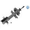 MEYLE Amortisseurs pour RENAULT: Laguna (Ref: 16-26 613 0000)
