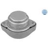 Suspension, boîte automatique MEYLE-ORIGINAL Quality 1001300011