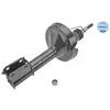 MEYLE Amortisseurs pour RENAULT: Kangoo & NISSAN: Kubistar (Ref: 16-26 623 0030)