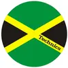 Accessoires DJ MAGMA JAMAIKA Accessoires vinyle