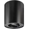 Kapego 348022 Plafonnier apparent Bengala , noir