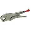 KS Tools Pince étaux pour écrous L.175,0 mm