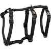 Trixie Harnais Stay - L-Xl: 75-100 Cm/25 Mm, Noir