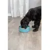 Trixie Mangeoire Pour Chien - Trixie - Céramique - 0,9 L - Ø 16 Cm - Bleu