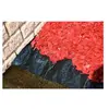 FP - Bache 100 g/m2 - 25 x 1 m 100 g