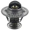 Thermostat Ford Swag 50918980
