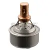 Thermostat Renault Swag 60909328