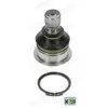 Rotule de suspension MOOG NI-BJ-4954 - Réf. 338NIBJ4954