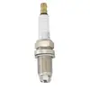 CHAMPION OE216 Bougie d'Allumage Électrode de Masse Multiple RC7BMC
