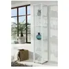 Vitrine 1 porte NAXOS coloris blanc
