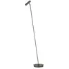 HELL Tom Pro Lampadaire, LED, 1 source lumineuse, 60550/1-15,