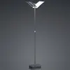 HELL DUAL Lampadaire LED 2 sources lumineuses, 60454/1-39,