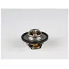 Thermostat, Liquide De Refroidissement Dacia; Lada; Nissan; Opel; Rena...