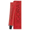 Schwarzkopf Igora Royal Nudes 8-46 Coloration 60 ml