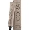 Schwarzkopf Igora Royal Absolutes 8-60 Blond Clair Marron Naturel