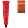 Coloration permanente Igora Royal de Schwarzkopf Professional 8-77 blo...