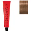Coloration permanente Igora Royal de Schwarzkopf Professional 7-65 blo...