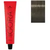 Coloration Igora Royal 6-1 blond foncé cendré Schwarzkopf 60ML