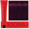 Coloration Igora Royal 5-99 châtain clair violet extra Schwarzkopf 60ML