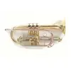 Trompettes & cornets ROY BENSON CORNET SIb D'ETUDE ROY BENSON CR-202 Cornets étude Sib