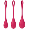 Kit de 3 Boules de Geisha Satisfyer Yoni Power 1