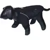 Manteau pour chien Nobby Pet Sebis Noir 20 cm 64324