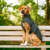 Manteau pour chien Nobby Pet Sela Vert 60 cm 51472